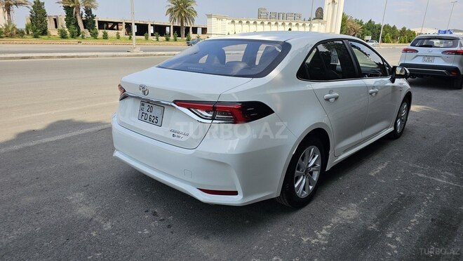 Toyota Corolla-6