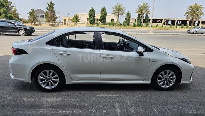 Toyota Corolla-8