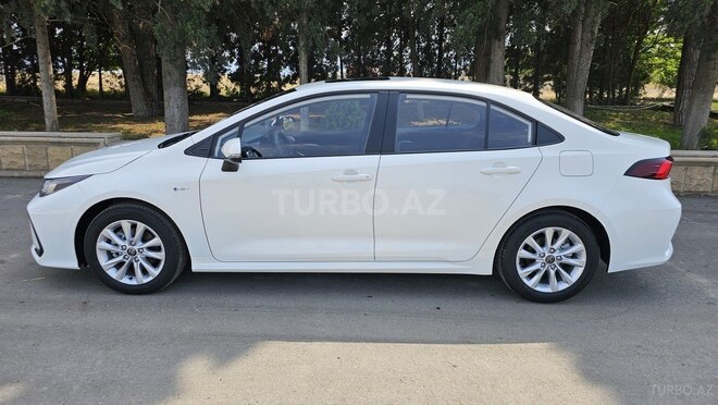 Toyota Corolla-7