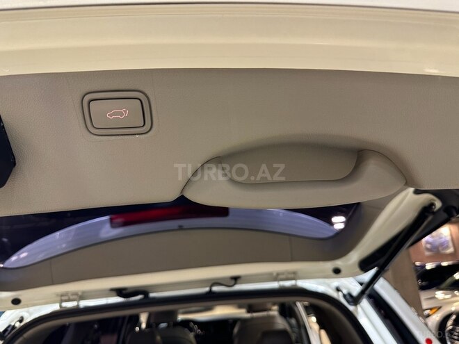 Kia Carnival-12