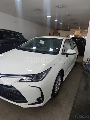 Toyota Corolla-4