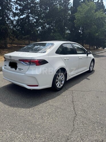 Toyota Corolla-10
