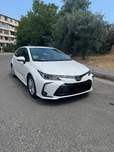Toyota Corolla-13