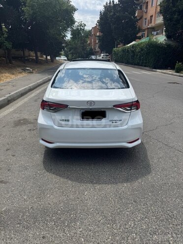 Toyota Corolla-6