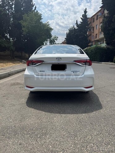 Toyota Corolla-7