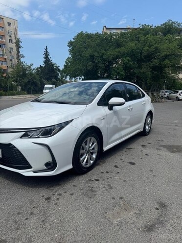 Toyota Corolla-11