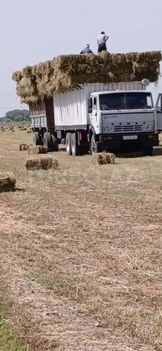 KamAz 53229 1991, 585,555 km - 11.0 l - Ağcabədi