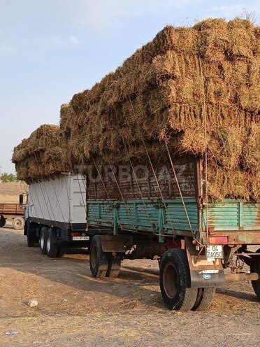 KamAz 53229 1991, 585,555 km - 11.0 l - Ağcabədi