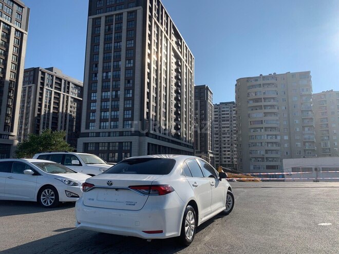 Toyota Corolla-2