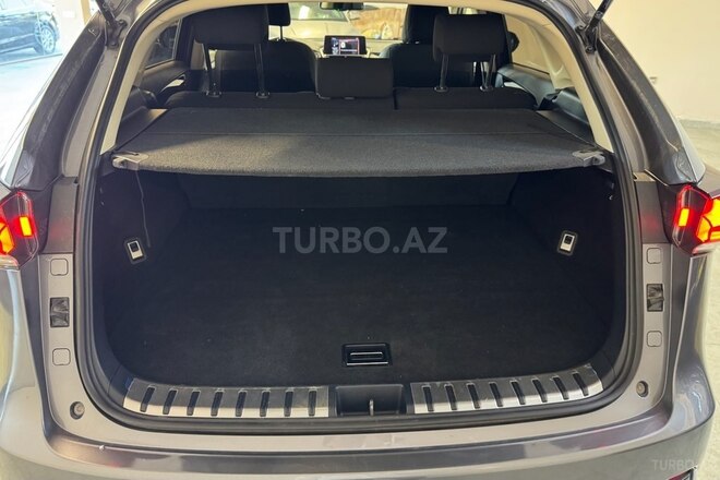 Lexus NX 200-9