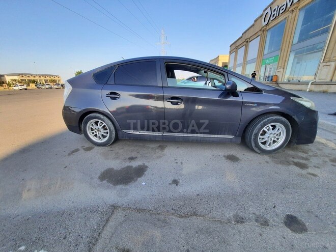 Toyota Prius 2011, 256,333 km - 1.8 l - Gəncə
