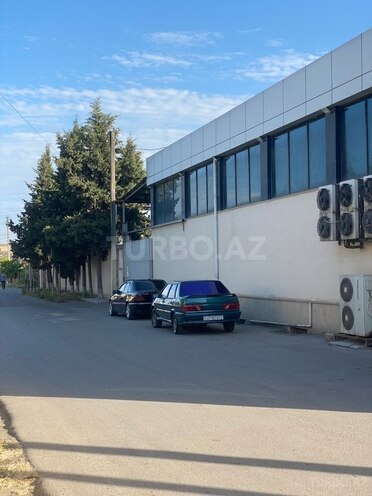 LADA (VAZ) 2115 2001, 555,640 km - 1.5 l - Xaçmaz