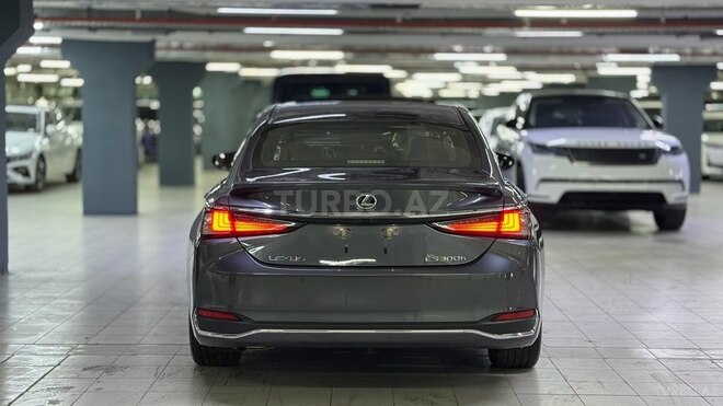 Lexus ES 300h-6