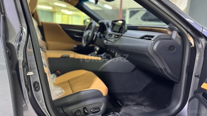 Lexus ES 300h-11