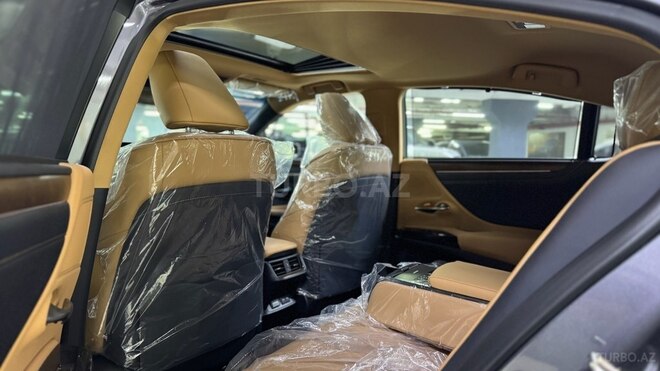 Lexus ES 300h-19