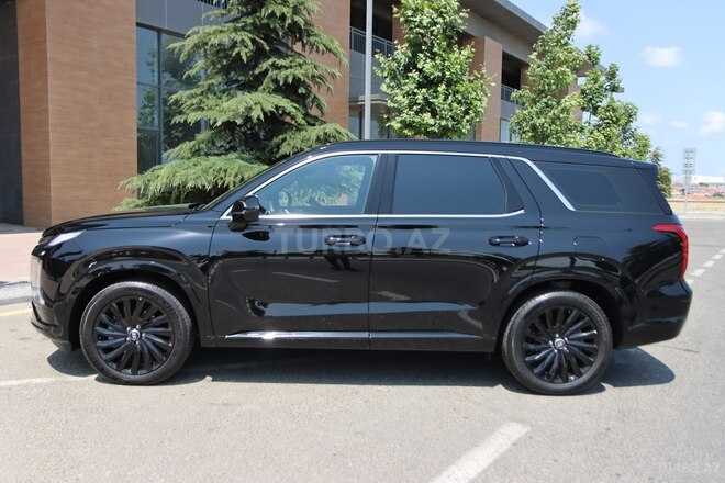 Hyundai Palisade-16