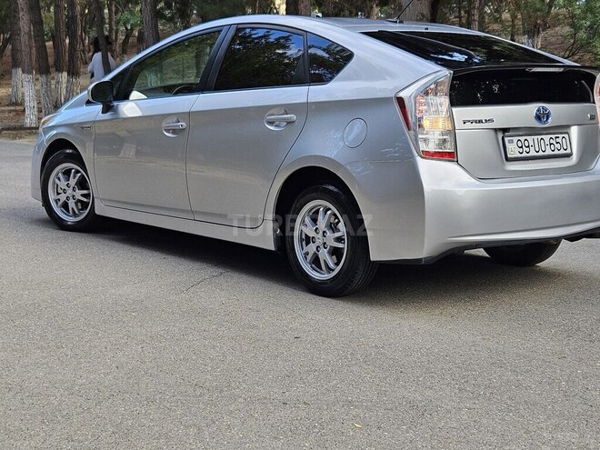 Toyota Prius-8