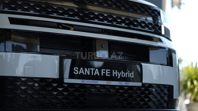 Hyundai Santa Fe-7