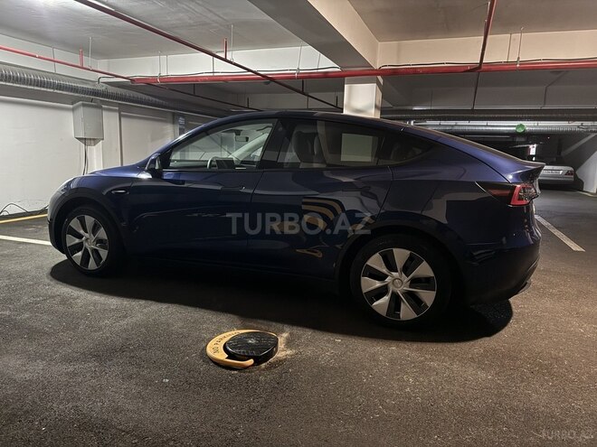 Tesla Model Y-3