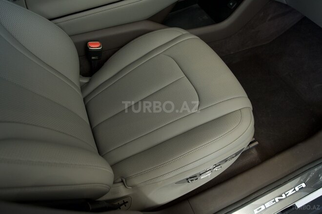 Denza N9-30