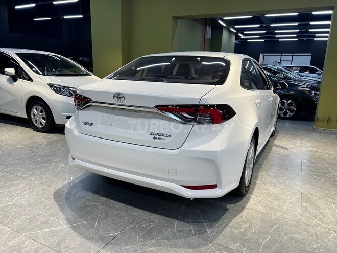 Toyota Corolla-13