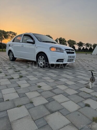 Chevrolet Aveo-4