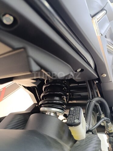 Jiangmen  2023, 0 km - 0.5 l - Bakı