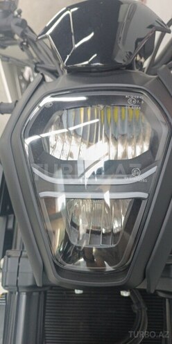 Jiangmen  2023, 0 km - 0.5 l - Bakı