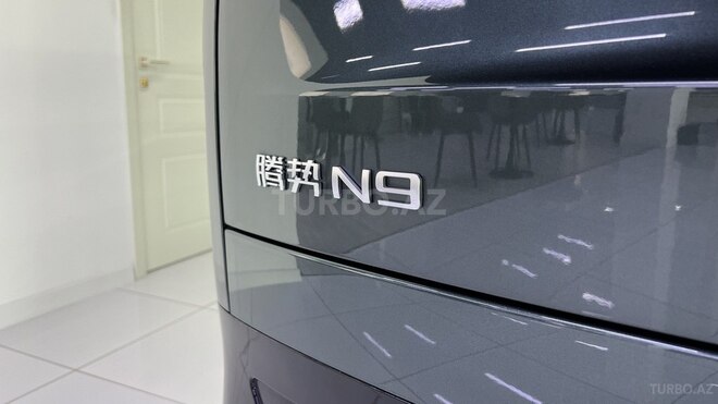 Denza N9-13