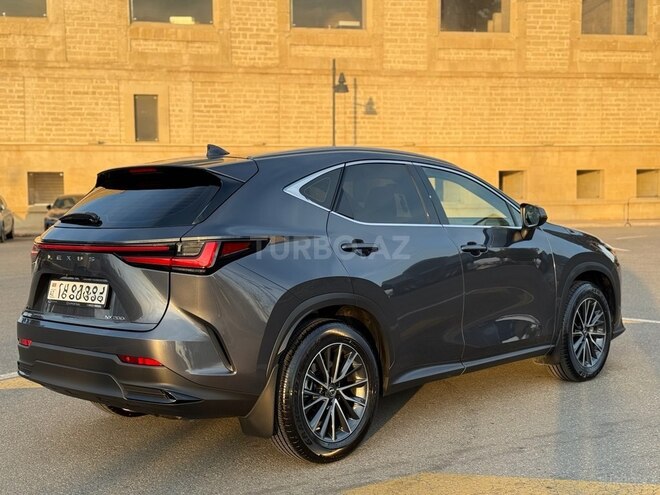 Lexus NX 200 2023, 13,000 km - 2.0 l - Bakı