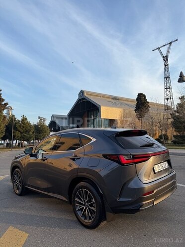 Lexus NX 200 2023, 13,000 km - 2.0 l - Bakı
