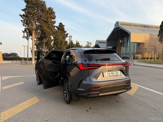 Lexus NX 200 2023, 13,000 km - 2.0 l - Bakı