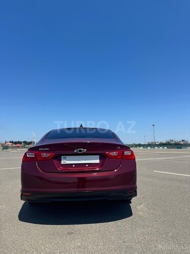 Chevrolet Malibu-4