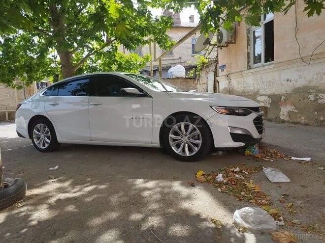 Chevrolet Malibu 2019, 274,000 km - 1.5 л - Bakı