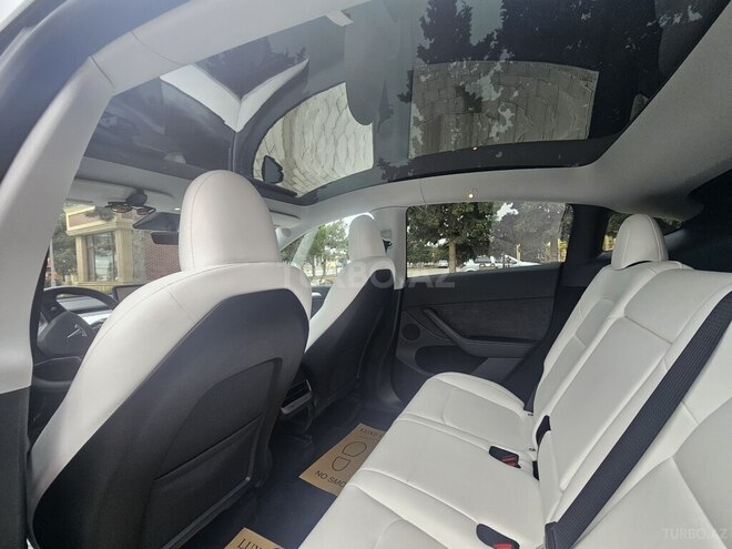 Tesla Model Y-3