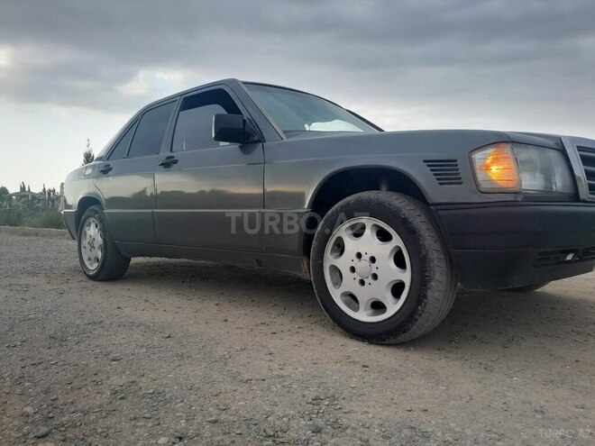 Mercedes 190 1991, 223,180 km - 2.2 l - Salyan