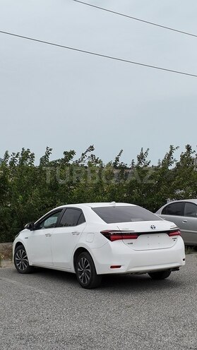 Toyota Corolla-5