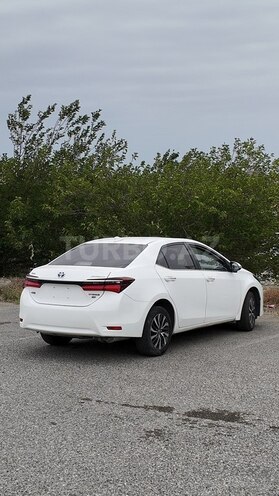 Toyota Corolla-3