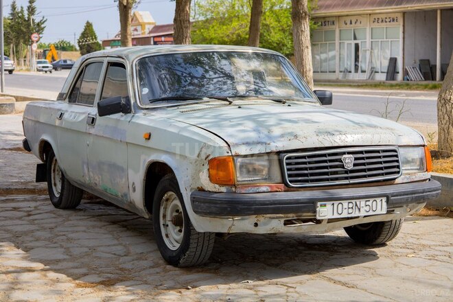 GAZ 31029 1994, 250,000 km - 2.4 l - Salyan