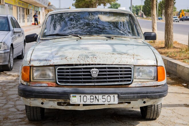 GAZ 31029 1994, 250,000 km - 2.4 l - Salyan