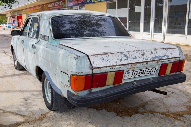 GAZ 31029 1994, 250,000 km - 2.4 l - Salyan