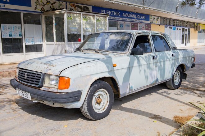 GAZ 31029 1994, 250,000 km - 2.4 l - Salyan