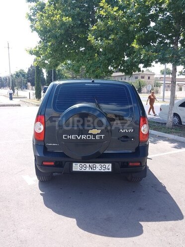Chevrolet Niva 2013, 178,000 km - 1.7 l - Gəncə