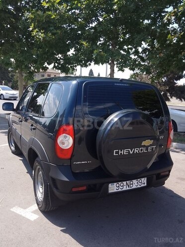 Chevrolet Niva 2013, 178,000 km - 1.7 l - Gəncə