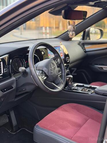 Lexus NX 200 2023, 13,000 km - 2.0 l - Bakı