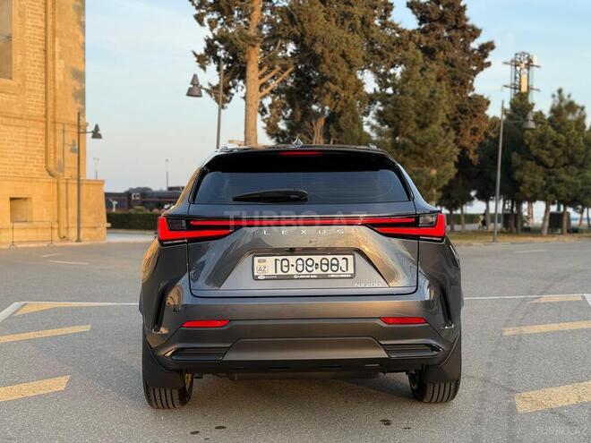 Lexus NX 200 2023, 13,000 km - 2.0 l - Bakı