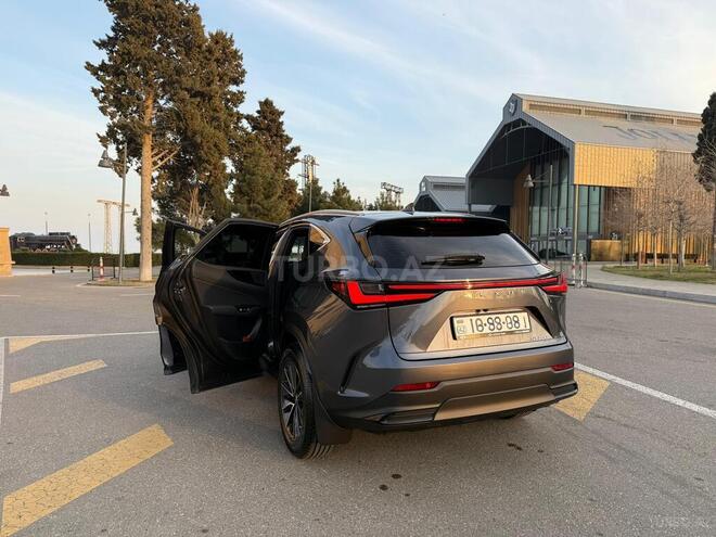 Lexus NX 200 2023, 13,000 km - 2.0 l - Bakı