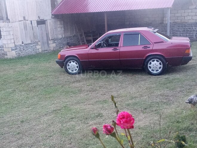 Mercedes 190 1991, 300,000 km - 2.0 l - Zaqatala