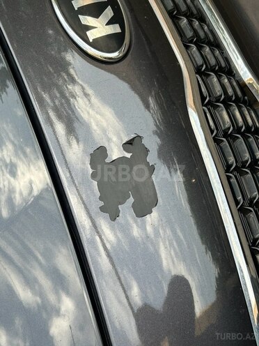 Kia Rio-11