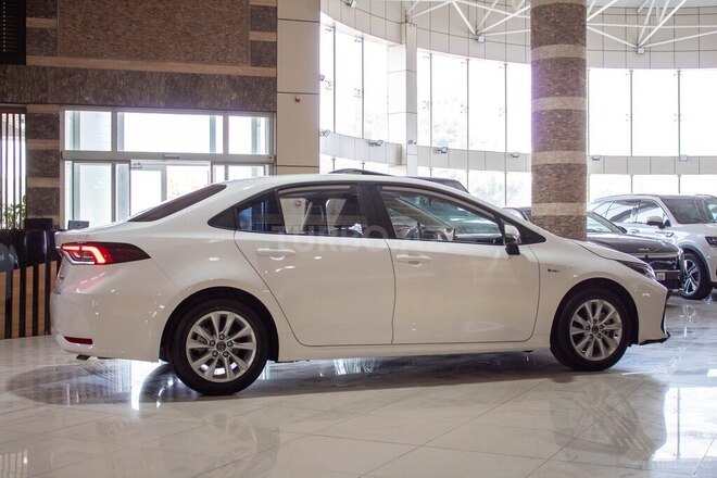 Toyota Corolla-6